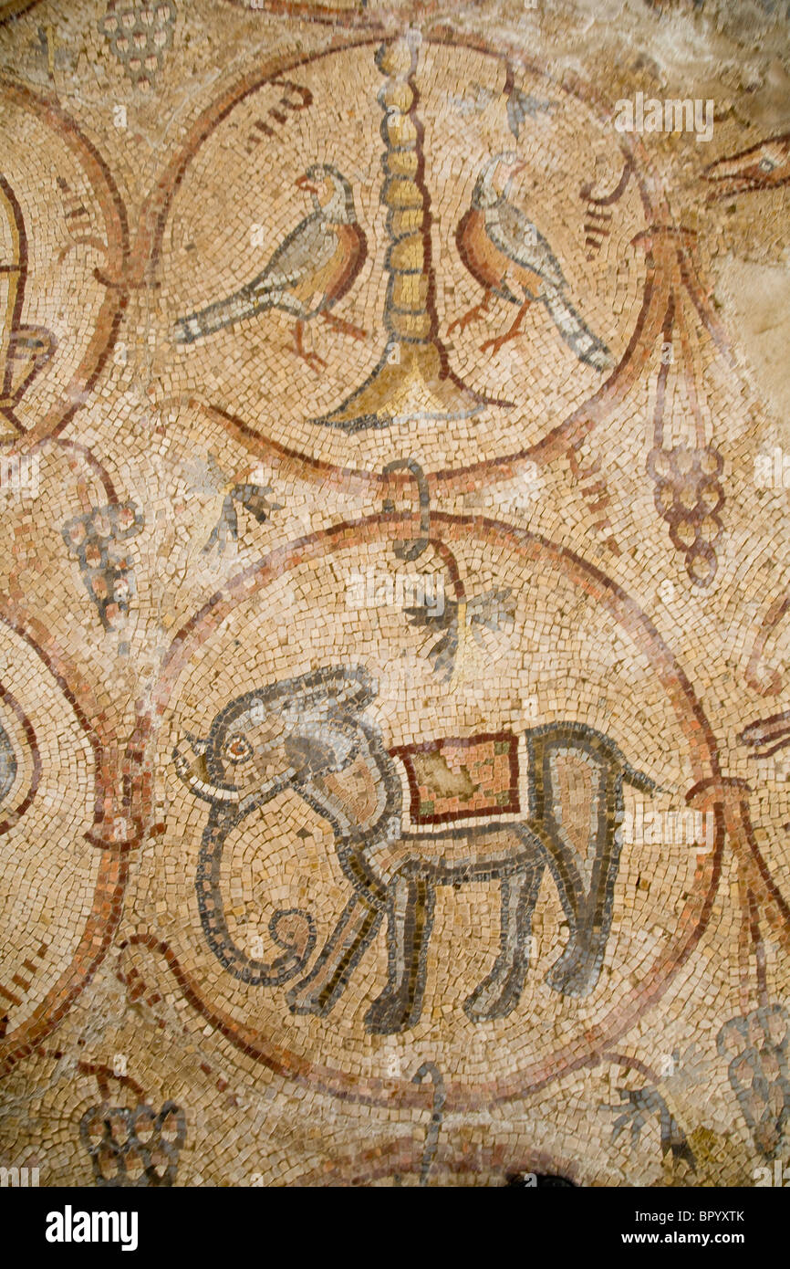 Photographie d'un sol en mosaïque dans l'ancienne synagogue de Ma'sur Nirim dans l'ouest du Negev Banque D'Images