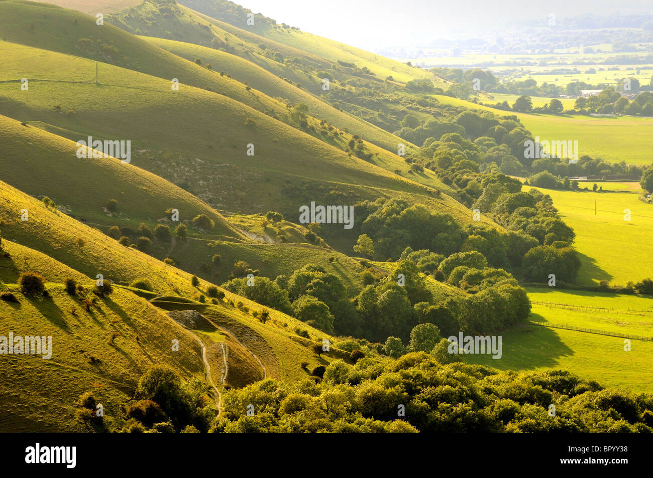 South Downs à Devils Dyke près de Brighton Sussex, Angleterre, Royaume-Uni Banque D'Images