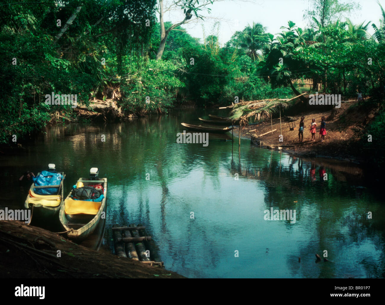 Deux pirogues sur la rivière de la jungle. Banque D'Images