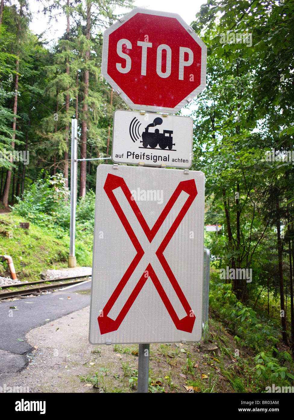 Panneau d'arrêt sur un pied et piste cyclable, où il croise un tramway en marche entre forêt Banque D'Images