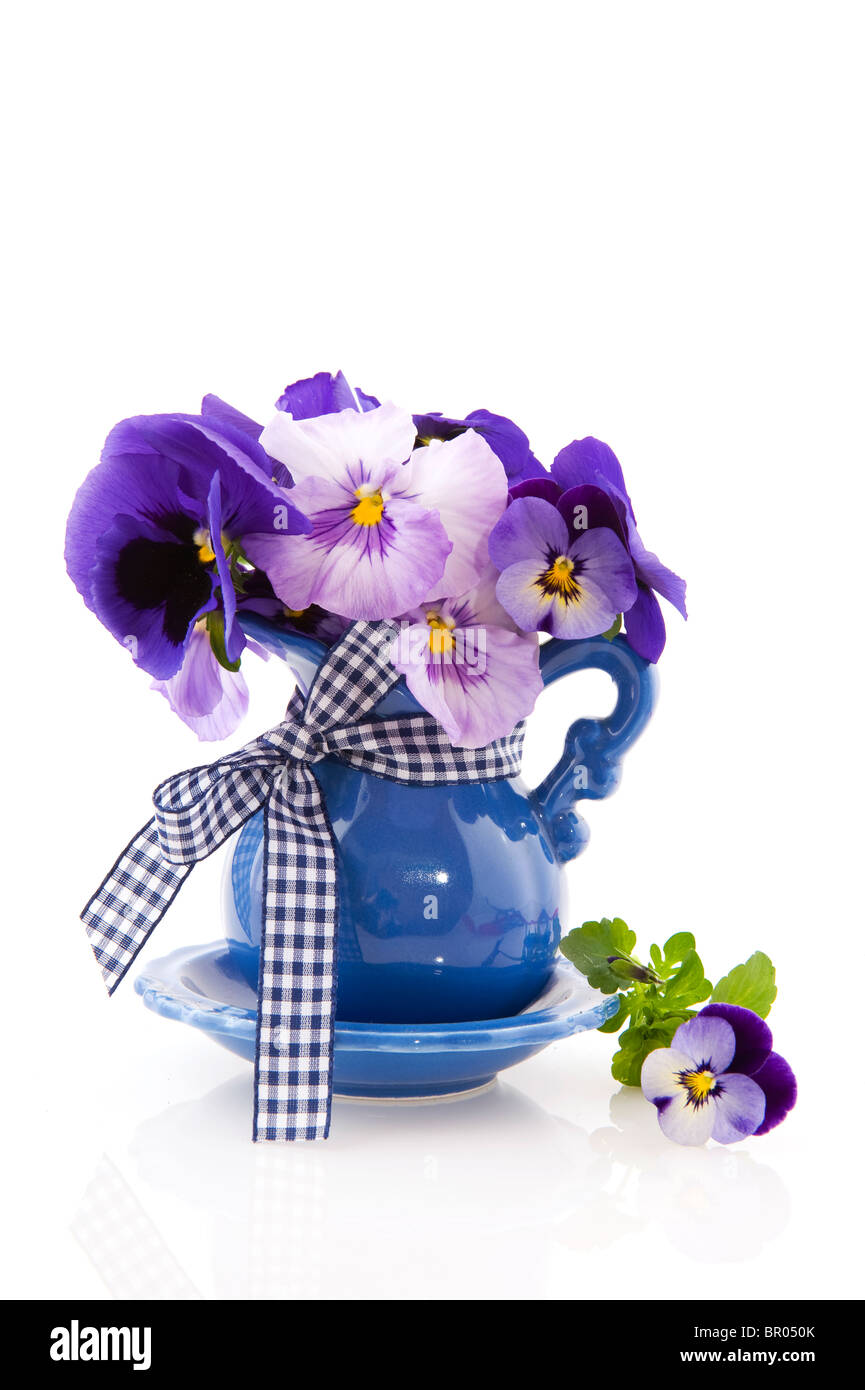Petit vase avec bouquet bleu pensées colorées Banque D'Images