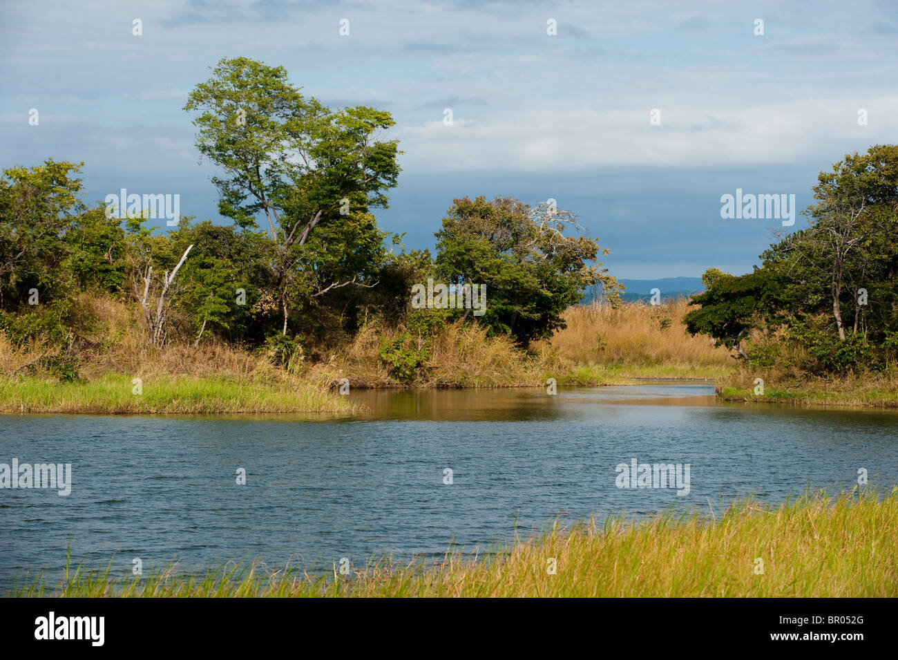 Chikukutu Lake, près de Nkhotakota, Malawi Banque D'Images