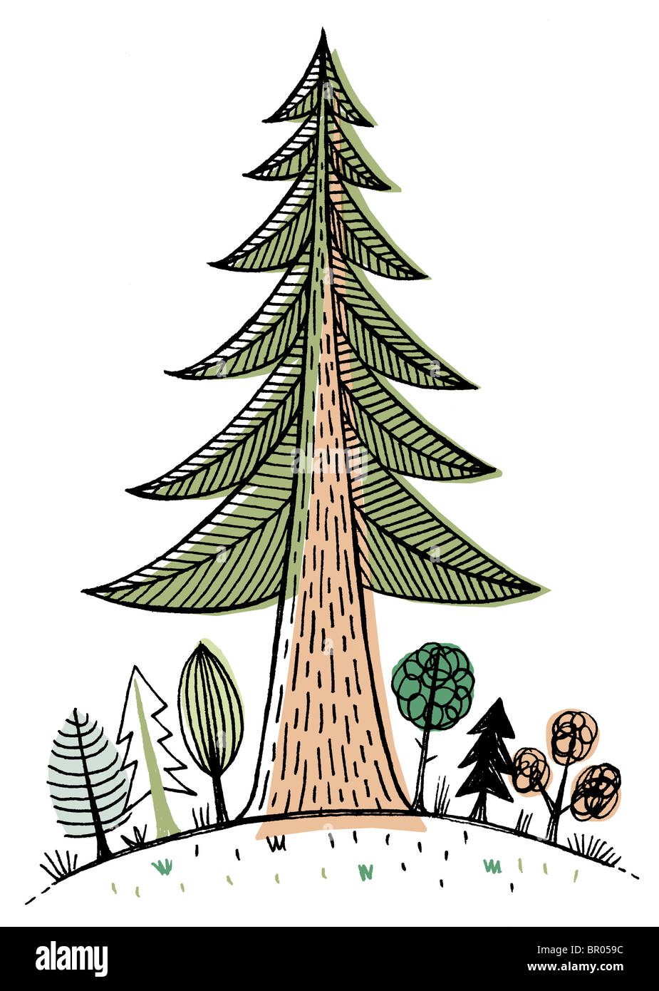 Un grand arbre séquoia dominant de petits arbres Banque D'Images