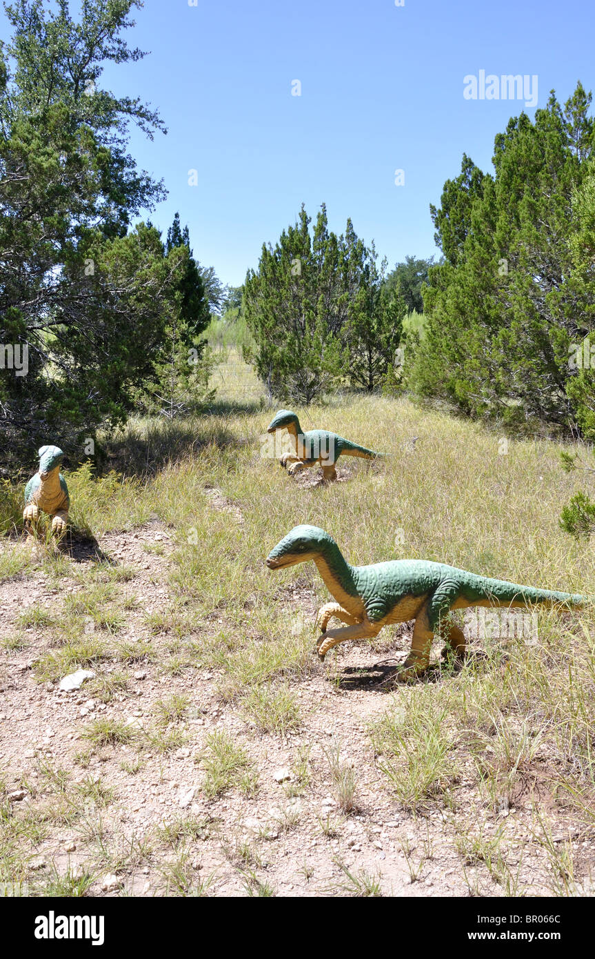 Coelophysis, Dinosaur World, Glen Rose, Texas, États-Unis Banque D'Images