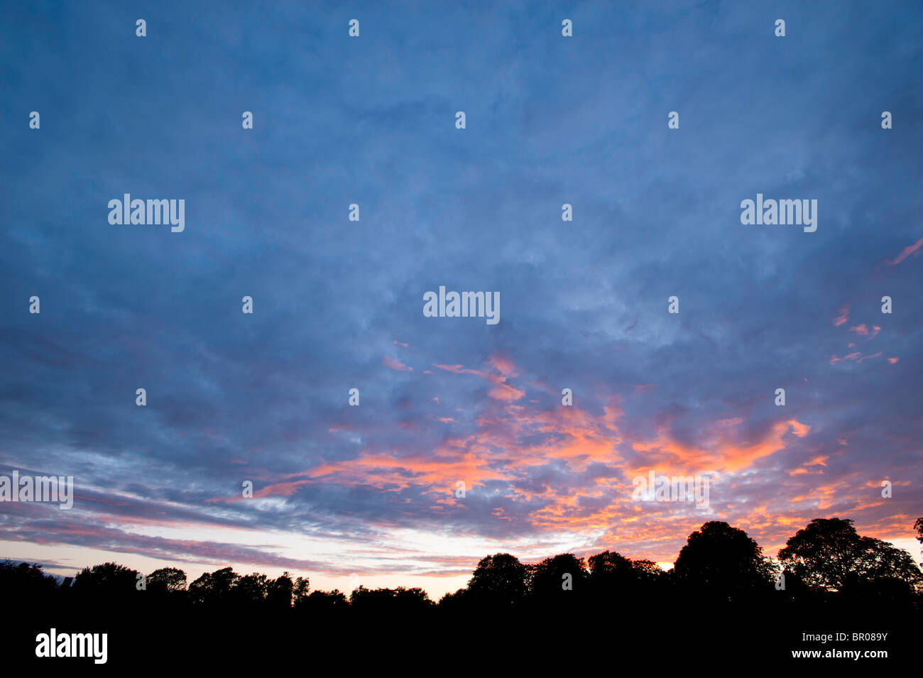 Ciel du soir au coucher du soleil spectaculaire sur Ealing Common, W5, Ealing, London, United Kingdom Banque D'Images