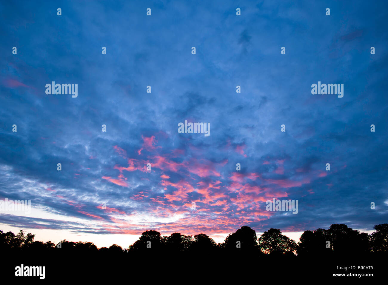 Ciel du soir au coucher du soleil spectaculaire sur Ealing Common, W5, Ealing, London, United Kingdom Banque D'Images