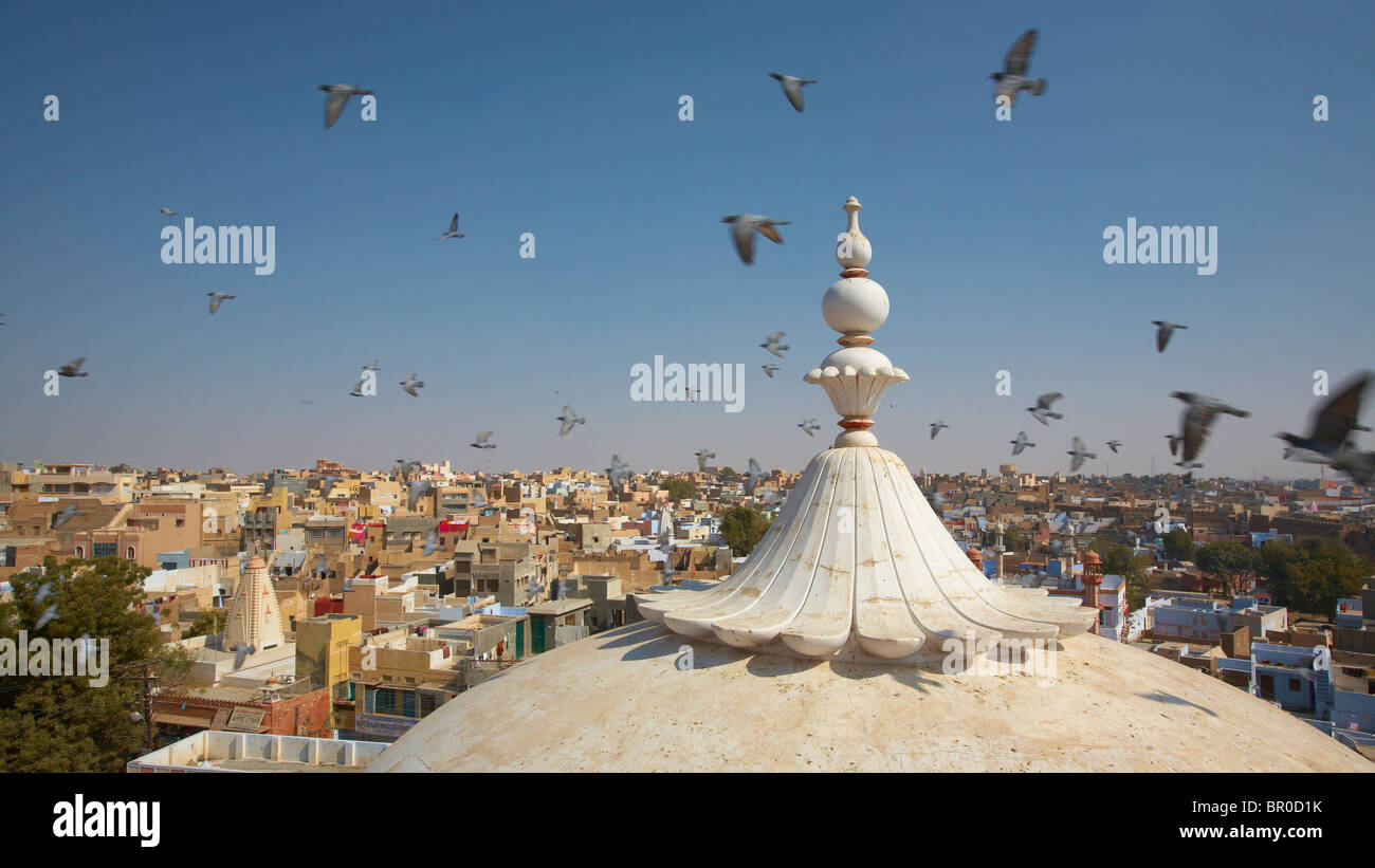 Les pigeons s'assemblant à Bhanda Shah Jain temple dans Bikaner Banque D'Images