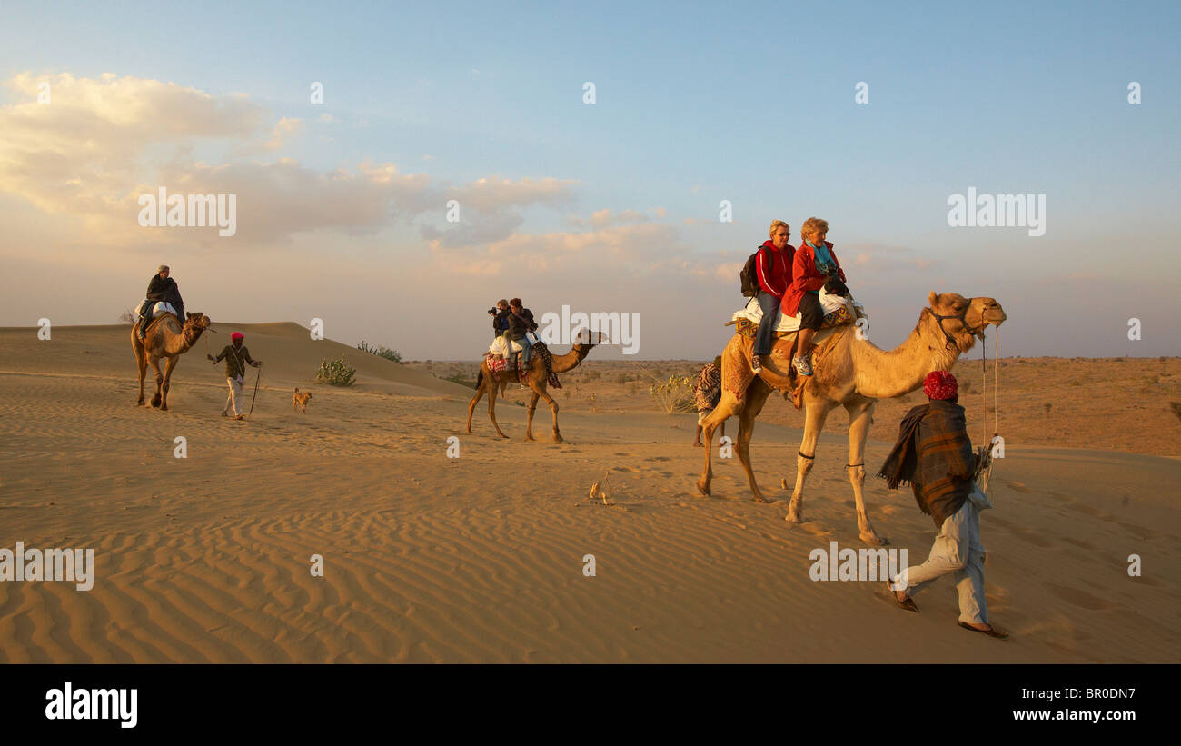 Randonnée chamelière près de Manvar à l'ouest de Jodhpur Banque D'Images