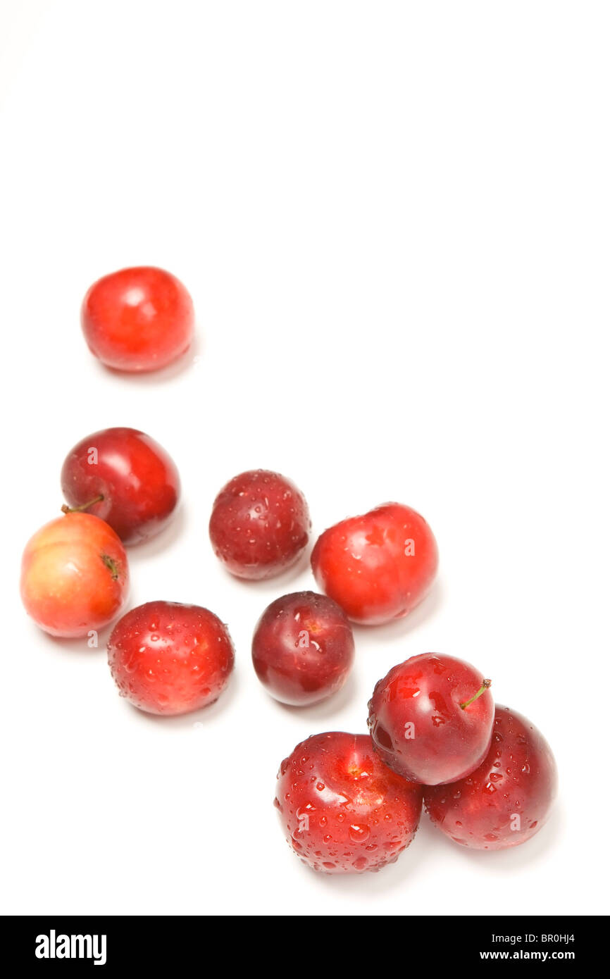 Les prunes rouges frais. Banque D'Images