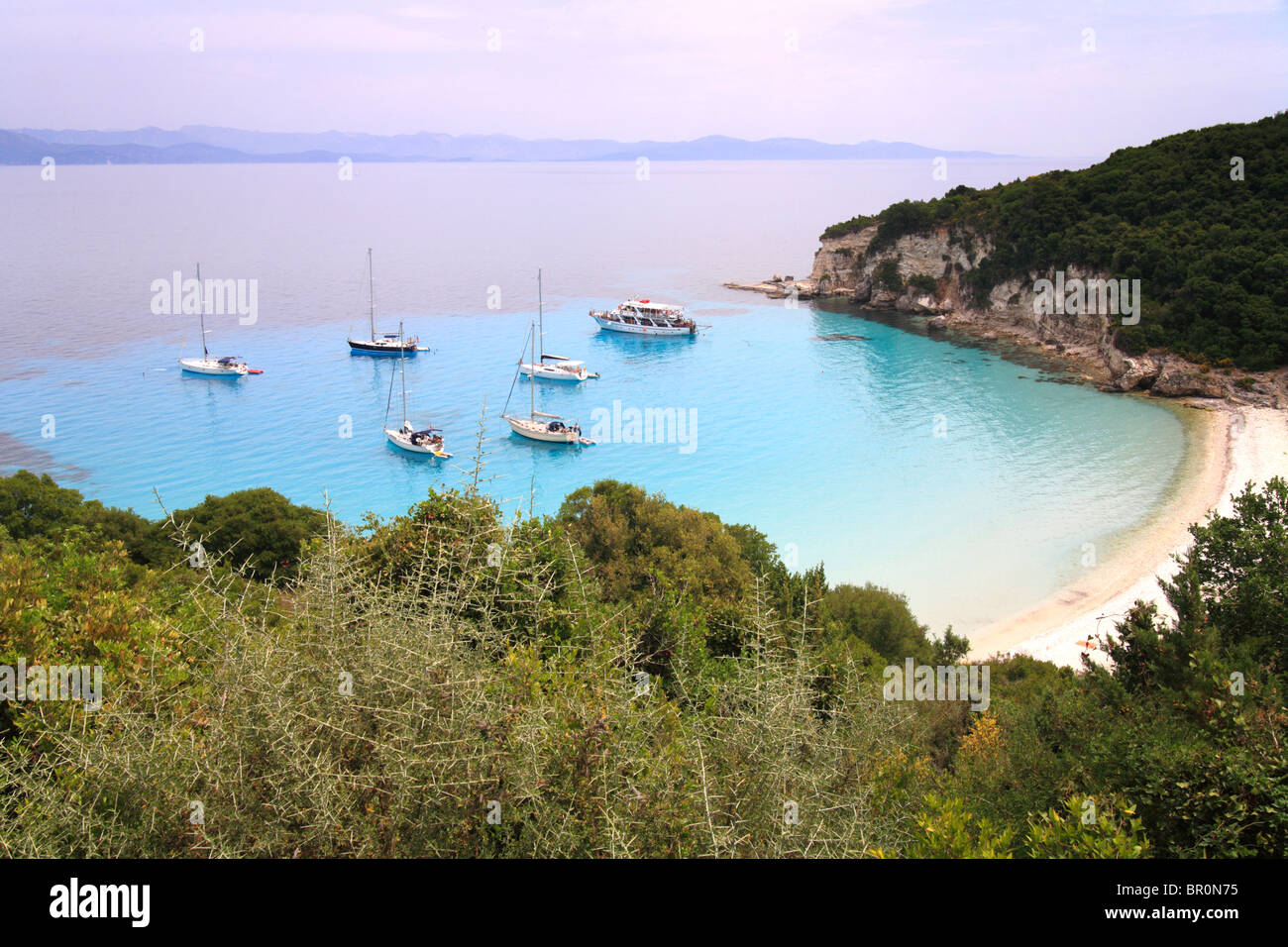 Voutoumi Anti Paxos, plage de pointe et d'oliviers. La mer bleu clair. La Grèce. Banque D'Images
