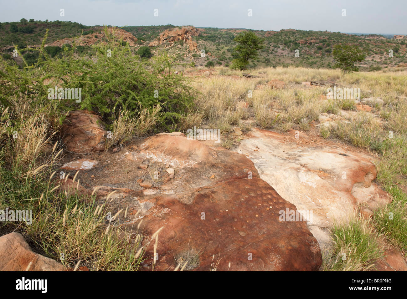 Jeu Bao trouvé sur la colline de Mapungubwe, site archéologique, le Parc National de Mapungubwe, Afrique du Sud Banque D'Images