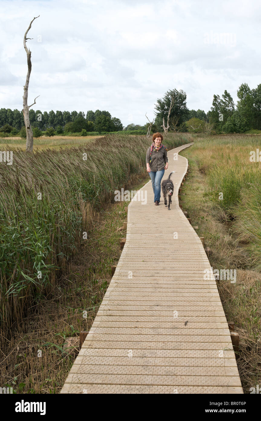 Chemin côtier, Rogue, Suffolk, Angleterre. Banque D'Images