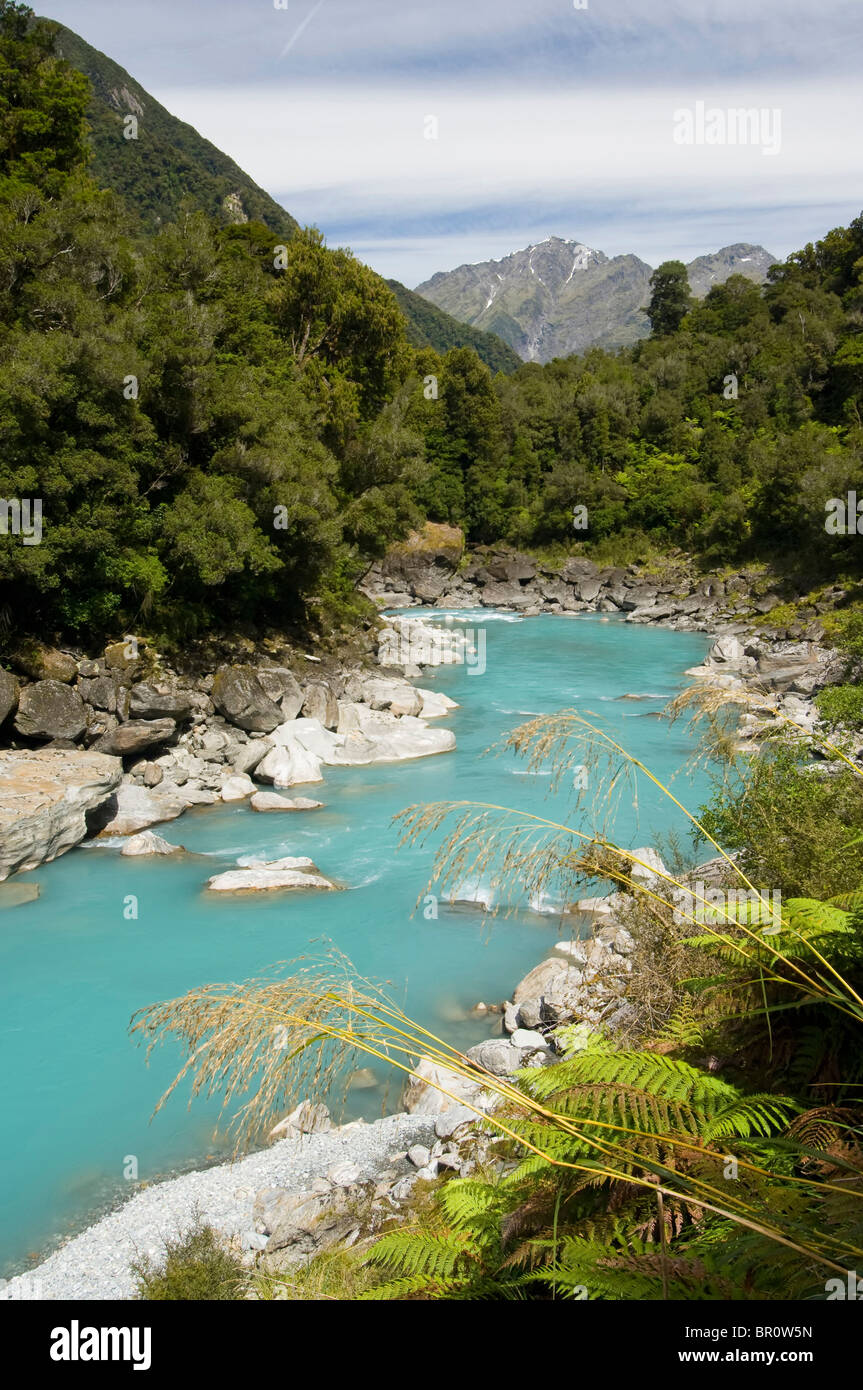 Nouvelle Zélande, île du Sud, le parc national de Westland. Avis de Copland Copland River de la piste. Banque D'Images