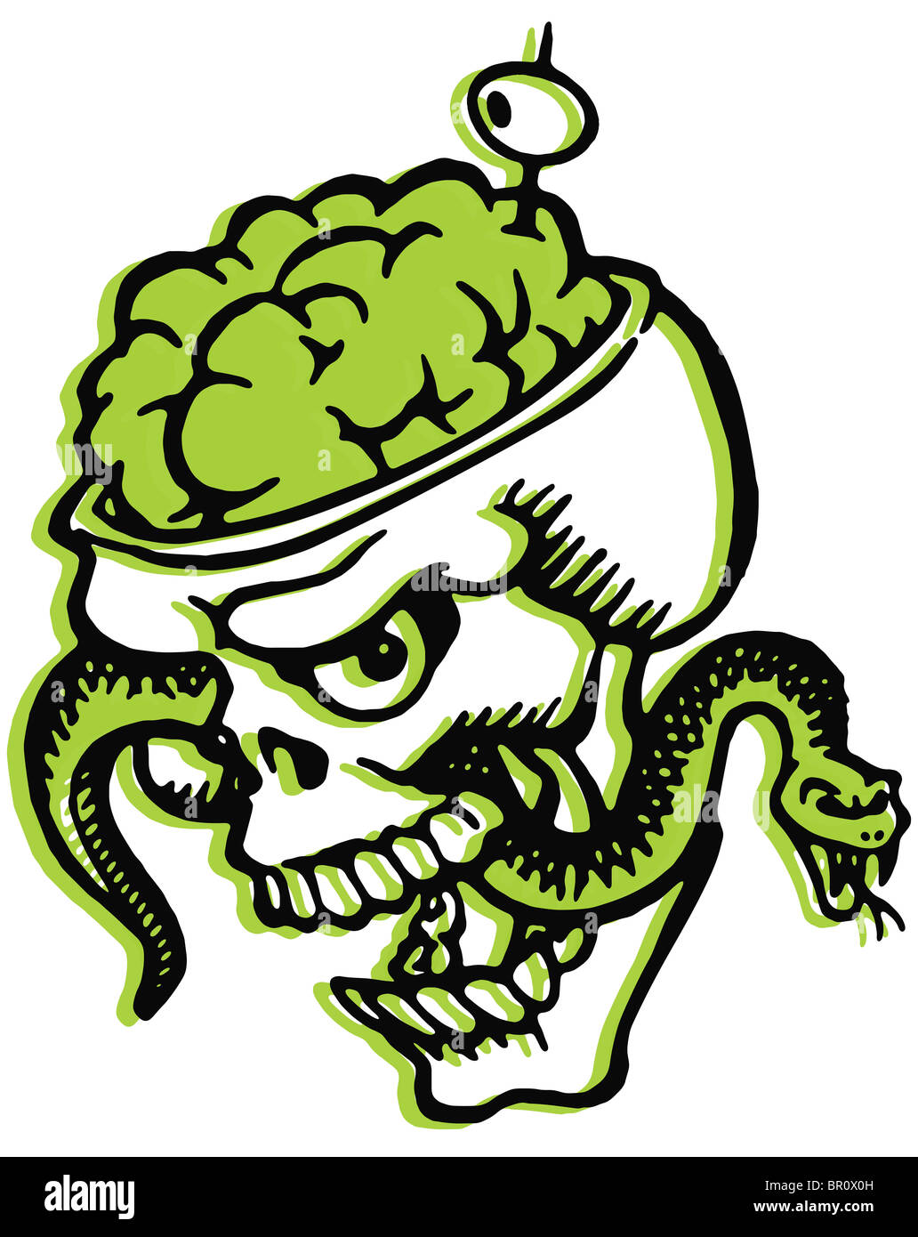 Un crâne avec bombement des cerveaux et un serpent et remplis d'olive-dent Banque D'Images