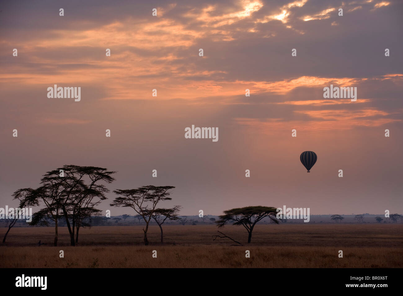 Balloon safari dans le Parc National du Serengeti, Tanzanie Banque D'Images