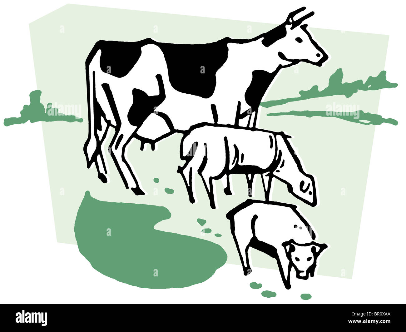 Une illustration d'une vache Banque D'Images