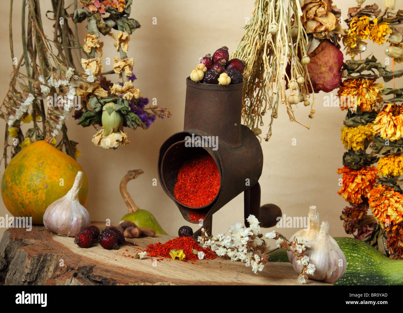 La nature morte culinaire avec handmill, d'épices et des rameaux de fleurs sèches Banque D'Images