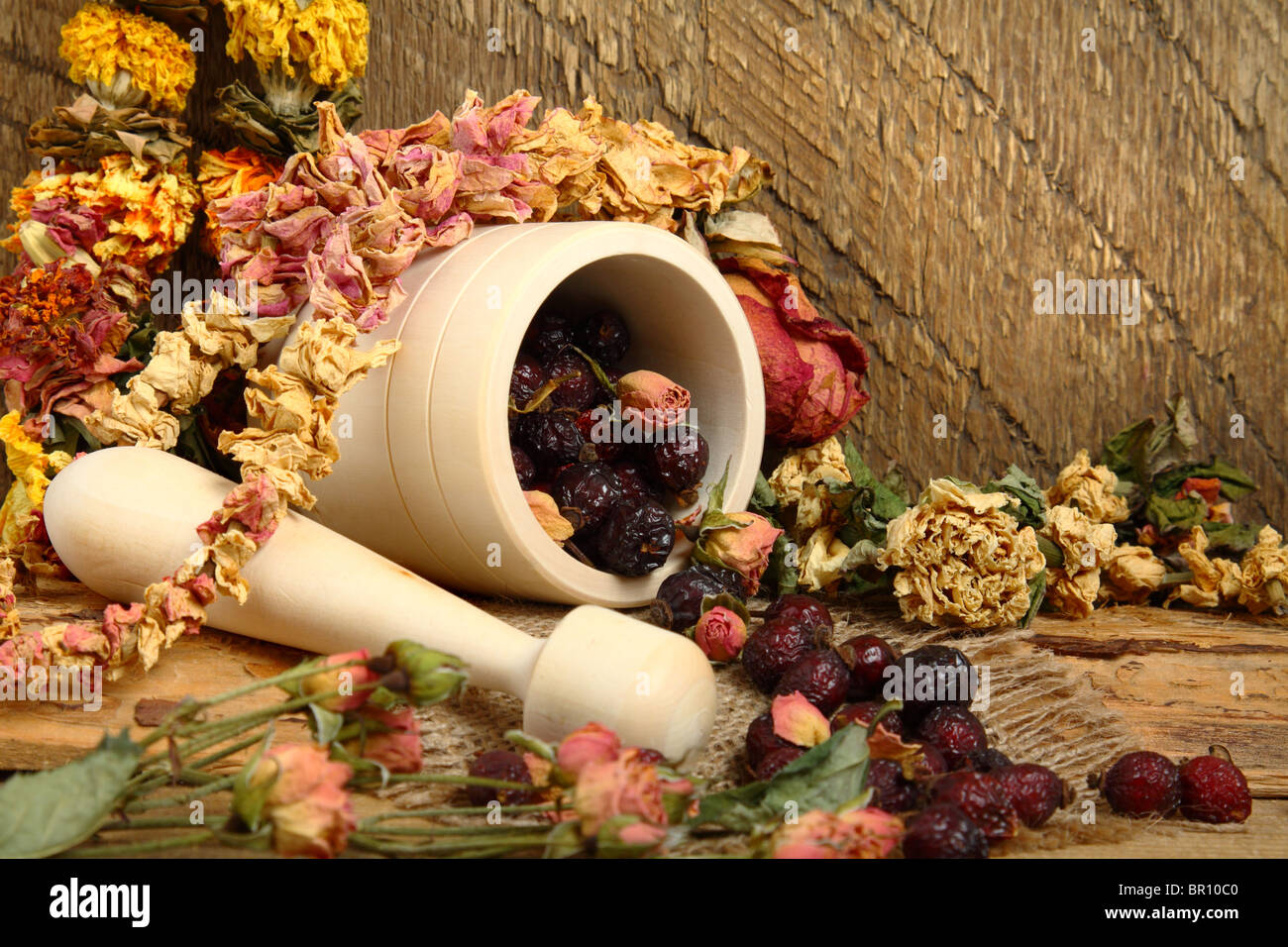 La nature morte avec du mortier, d'églantier et de fleurs séchées Banque D'Images