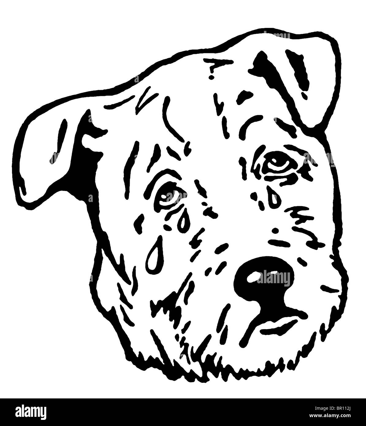 Une version noir et blanc d'un chiot triste à Banque D'Images