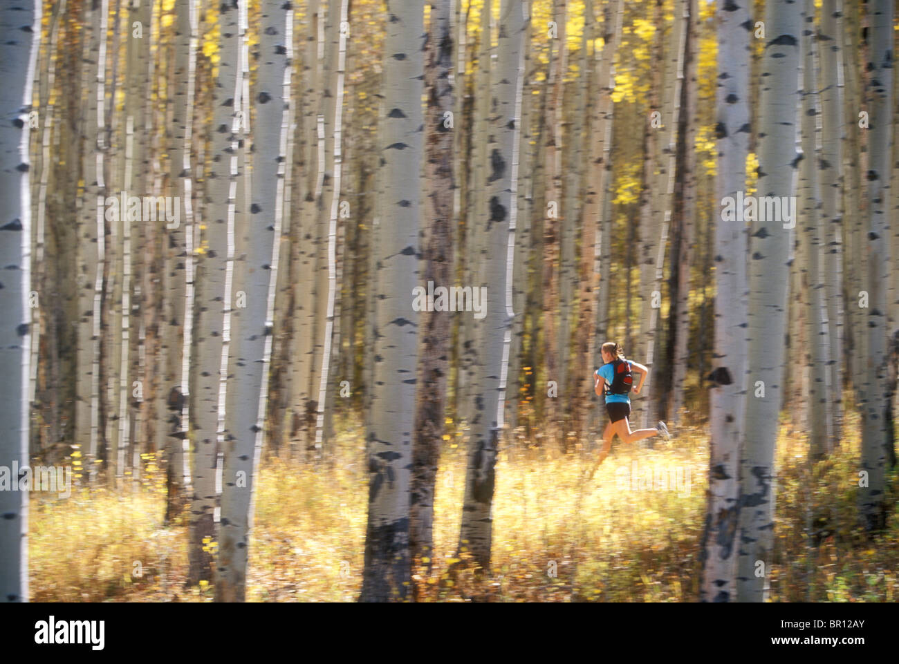 Femme d'exécution sur leaf laiden route durant la saison d'automne à Carbondale, Colorado. (Motion Blur) Banque D'Images