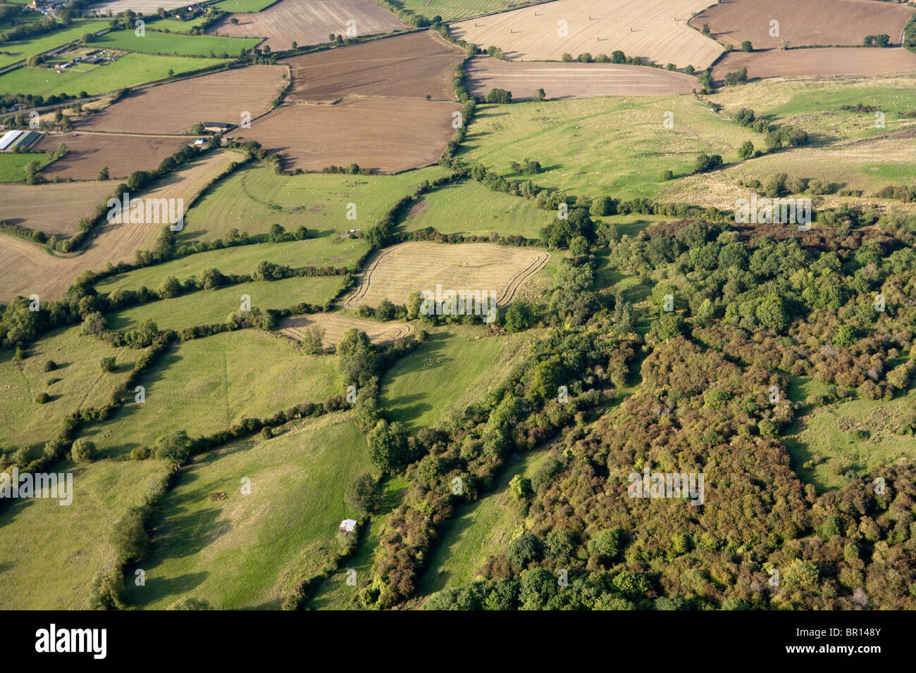 Campagne typiquement anglaise - petits champs, haies et bois sur les Cotswolds ne de Winchcombe, Gloucestershire Royaume-Uni Banque D'Images