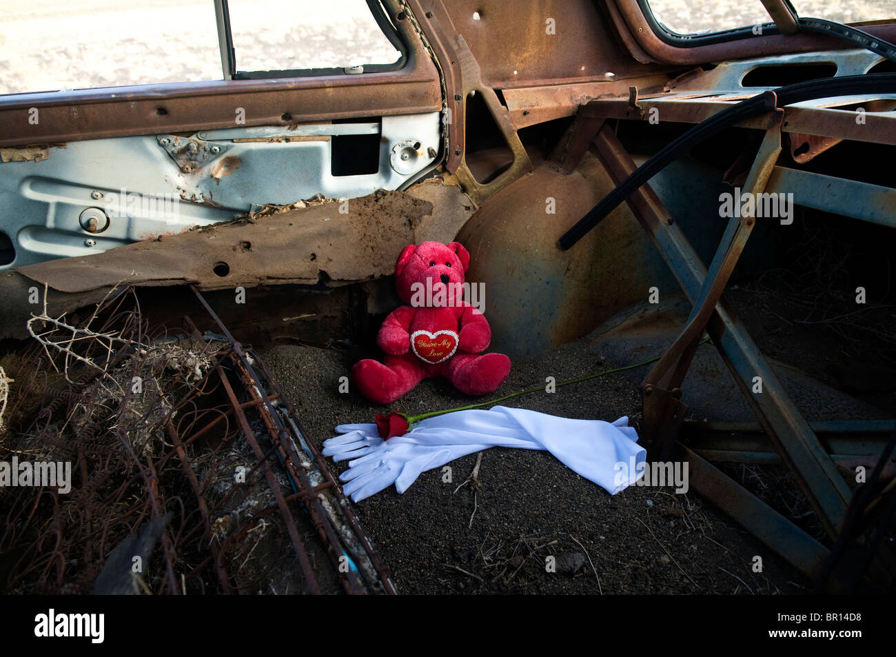 Ours, blanc, rose rouge gants officiels en voiture abandonnée. Banque D'Images