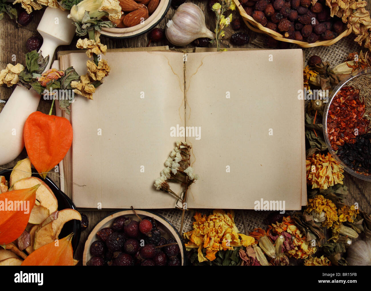Livre vide, fruits secs, Fleurs sèches et l'assaisonnement Banque D'Images