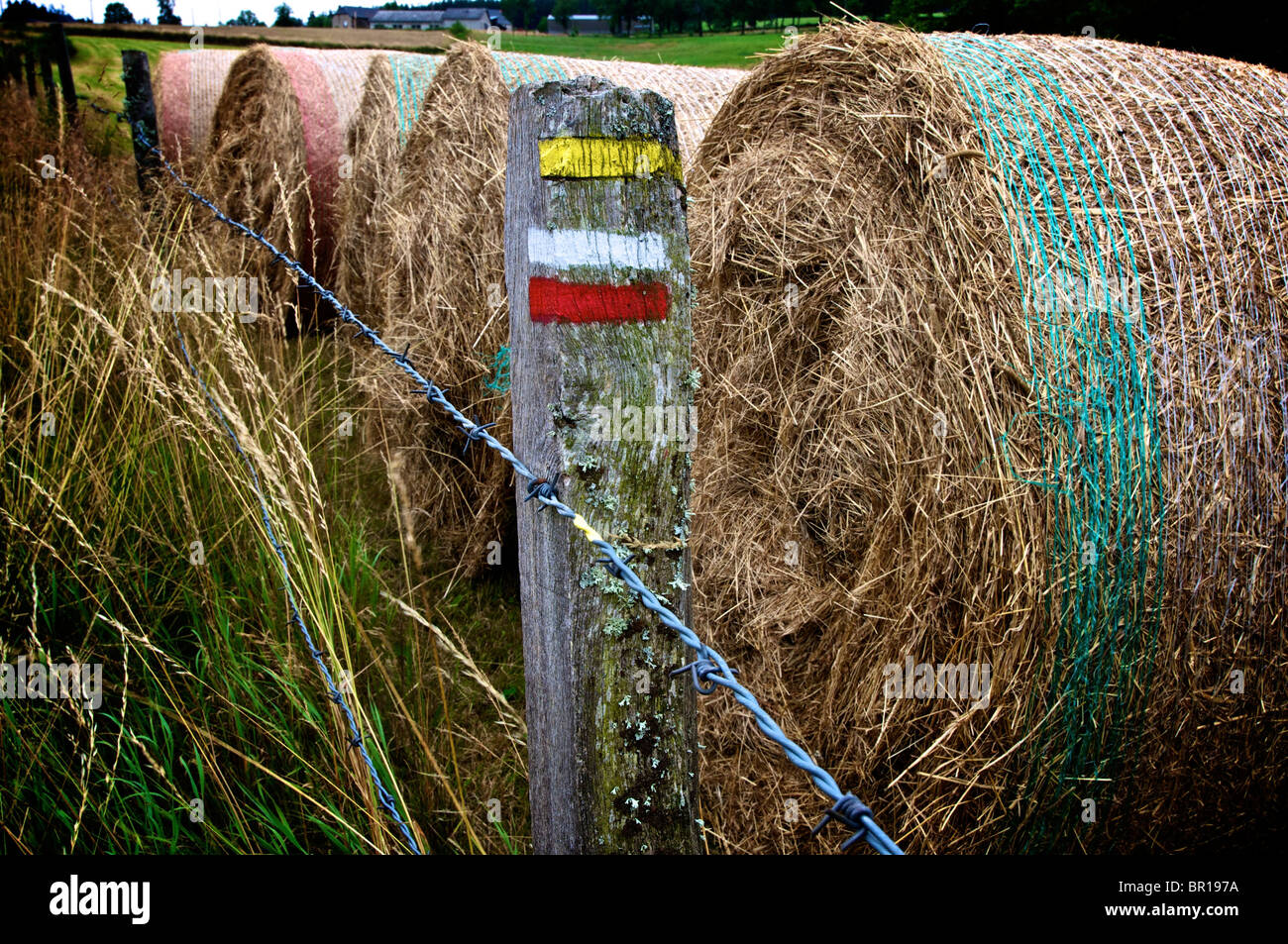 Balles de foin alignées près d'un poteau de clôture avec des marqueurs colorés (panneaux de marche) dans un paysage rural par temps couvert. France Banque D'Images