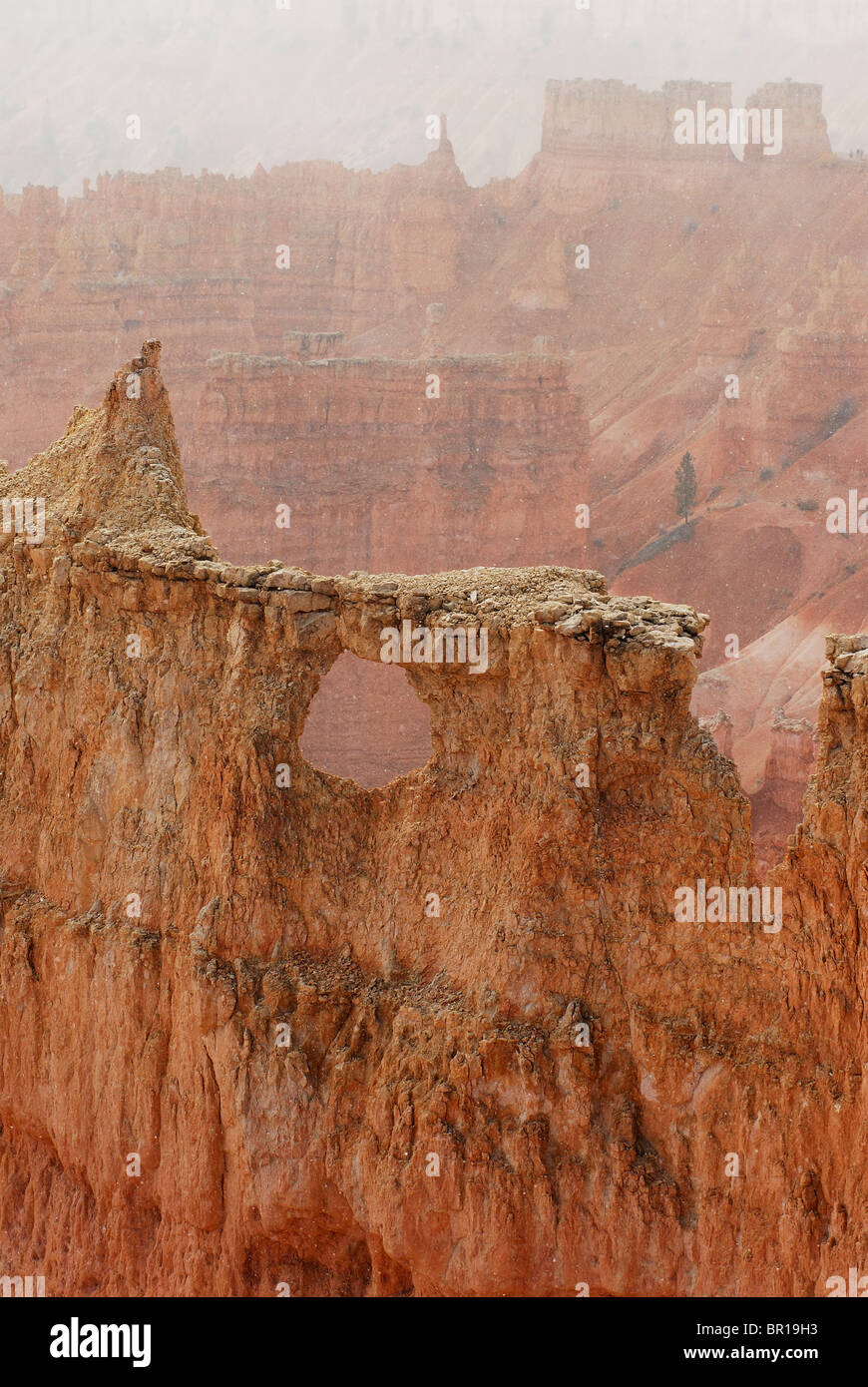 Les cheminées à Bryce Canyon National Park, Utah. Banque D'Images