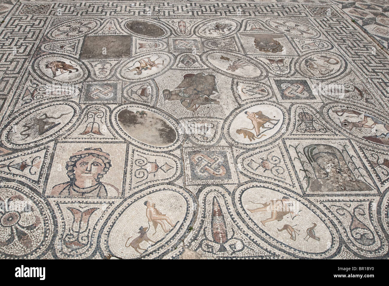 12 travaux d'hercule de salle à Mosaic, ville romaine de Volubilis, Maroc Banque D'Images