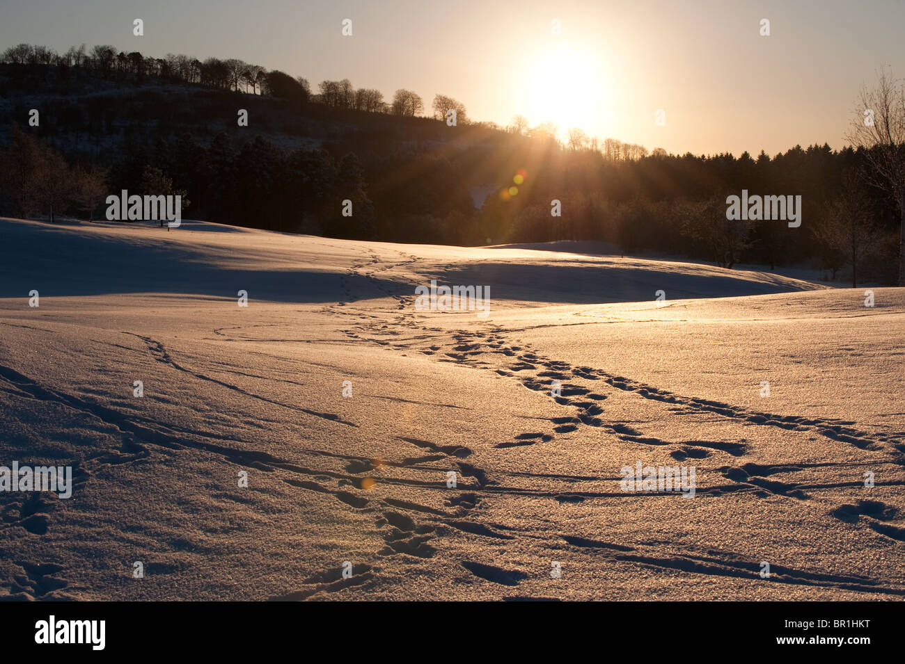 Magnifique coucher de soleil dans l'hiver à la campagne Banque D'Images