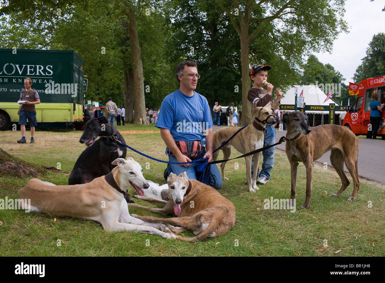 Un homme et garçon avec 5 chiens Greyhound sur l'herbe. Banque D'Images