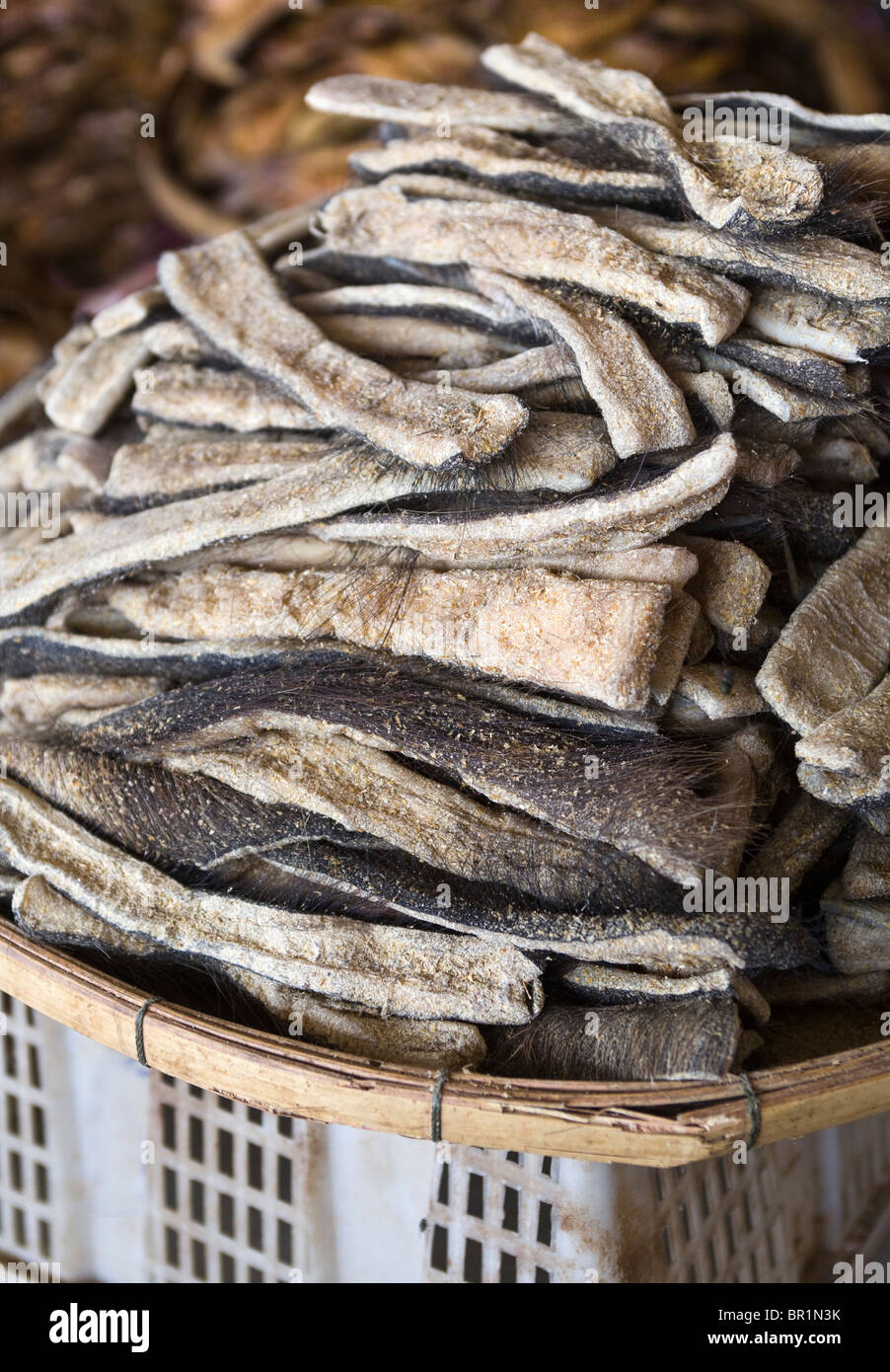 Peau de buffle en vente au marché de Vientiane au Laos Banque D'Images