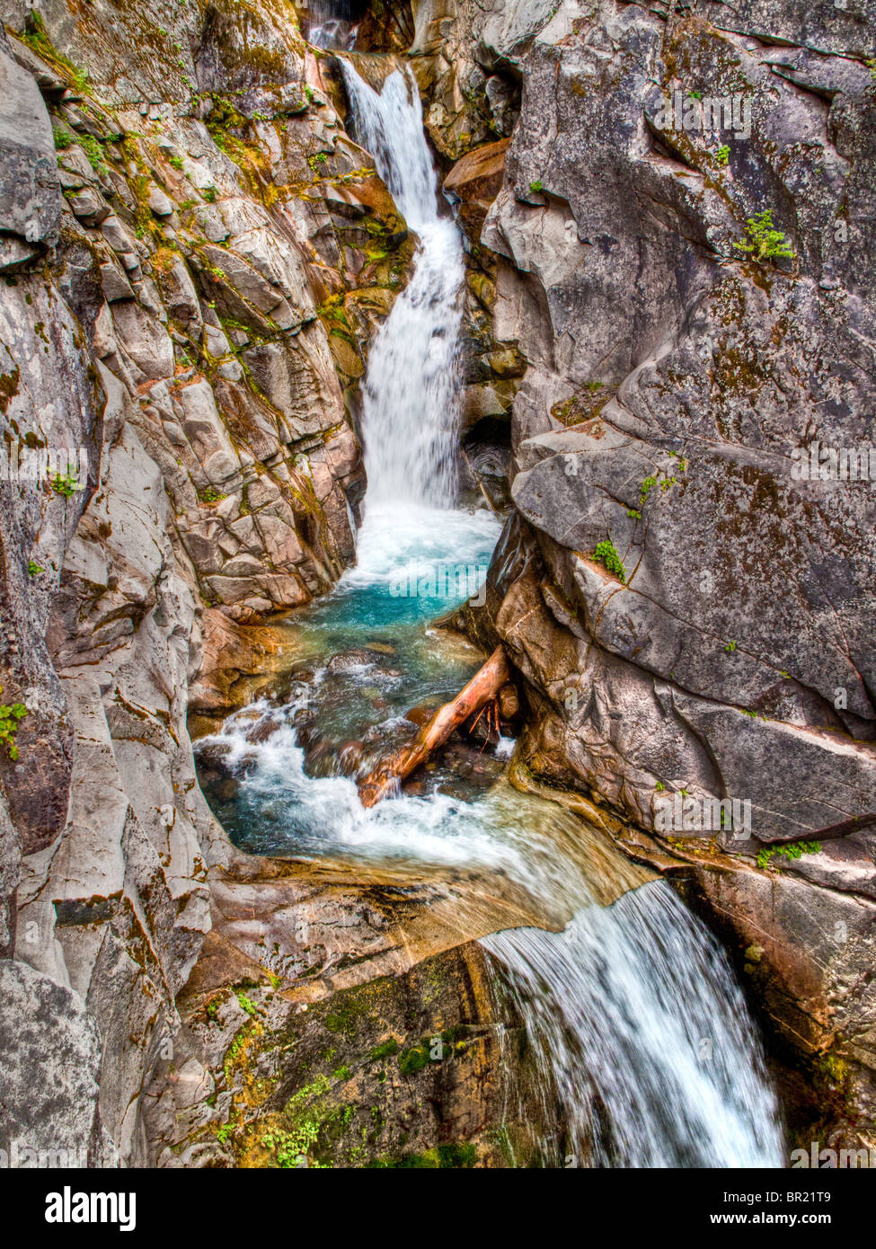 Christine Falls, Van Trump Creek, le Mont Rainier NP, Washington USA Banque D'Images