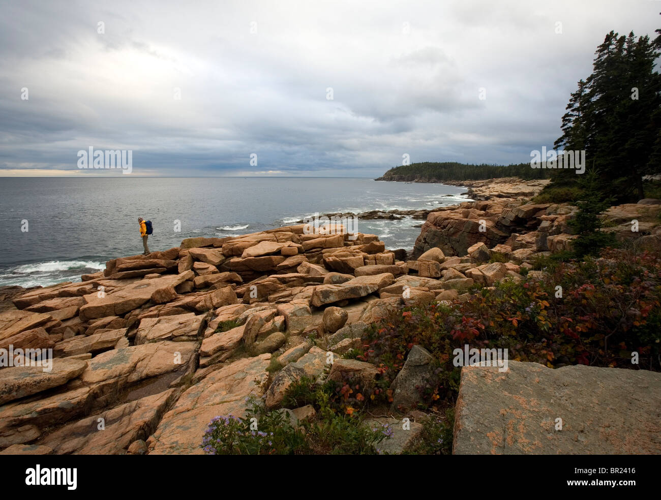 Offrant une vue sur femme de l'Acadia National Park Shores. Banque D'Images