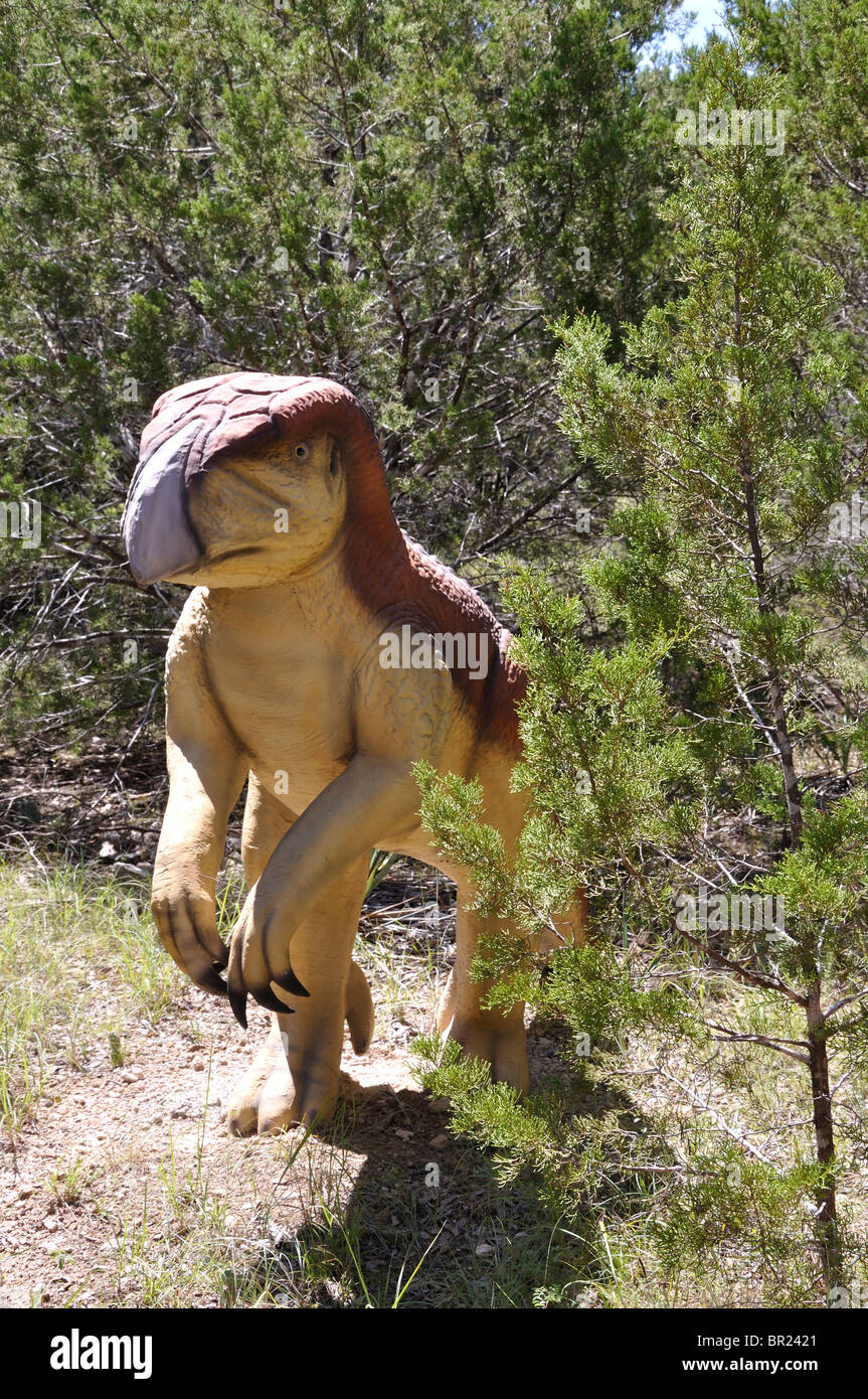 Dinosaure Psittacosaurus, monde, Glen Rose, Texas, États-Unis Banque D'Images