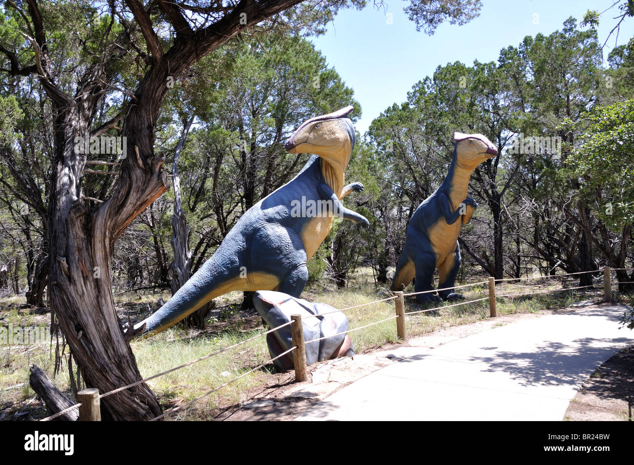 Brachylophosaurus, Dinosaur World, Glen Rose, Texas, États-Unis Banque D'Images