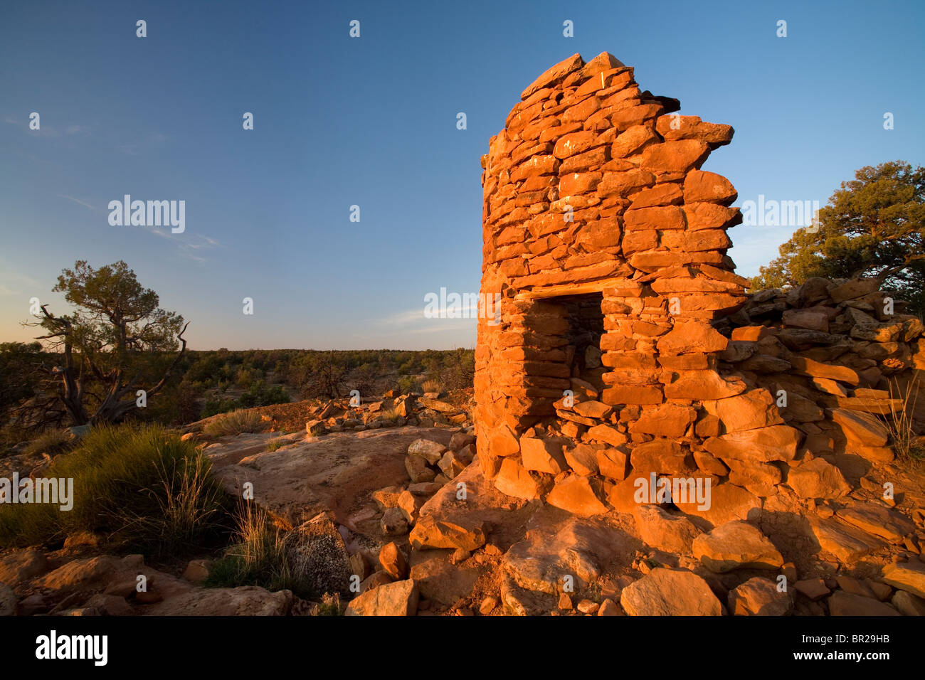 L'une des ruines indiennes Tour Mule Canyon au lever du soleil dans la région de Cedar Mesa dans l'Utah. Banque D'Images