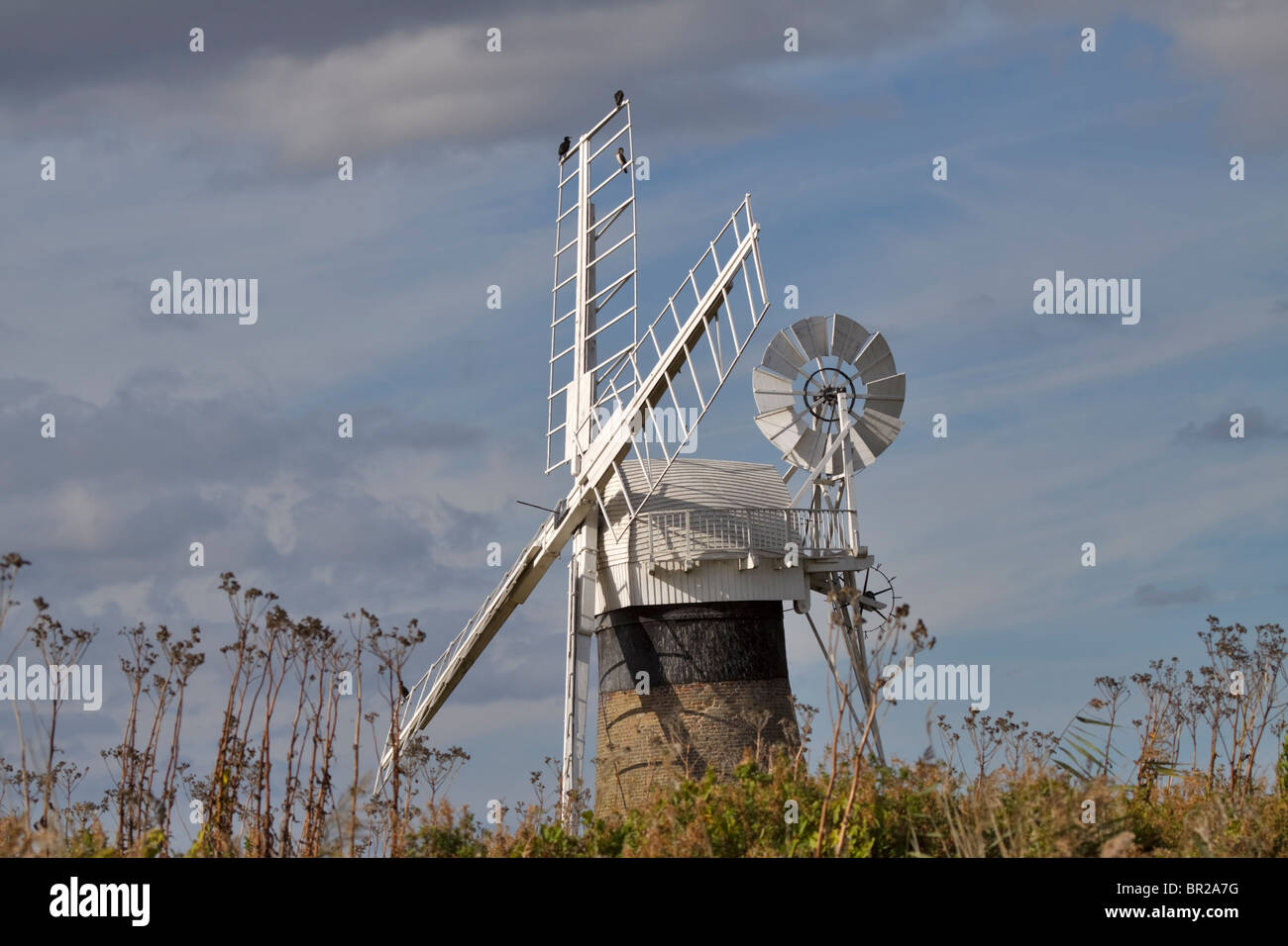 Moulin de Drainage Benets St, Norfolk Banque D'Images
