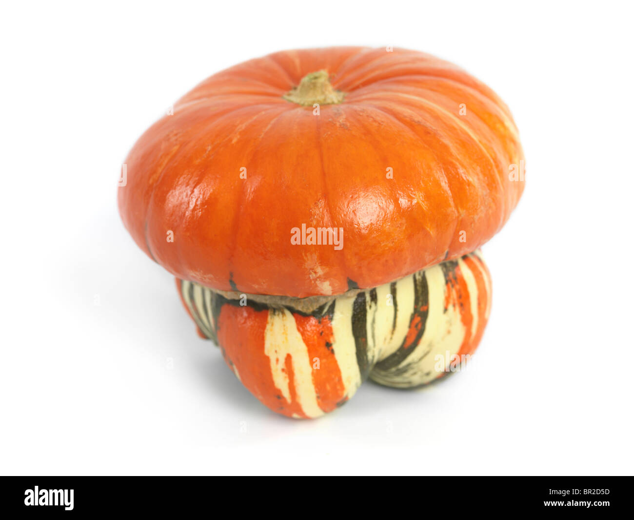 Courge Turban turcs isolé sur fond blanc Banque D'Images