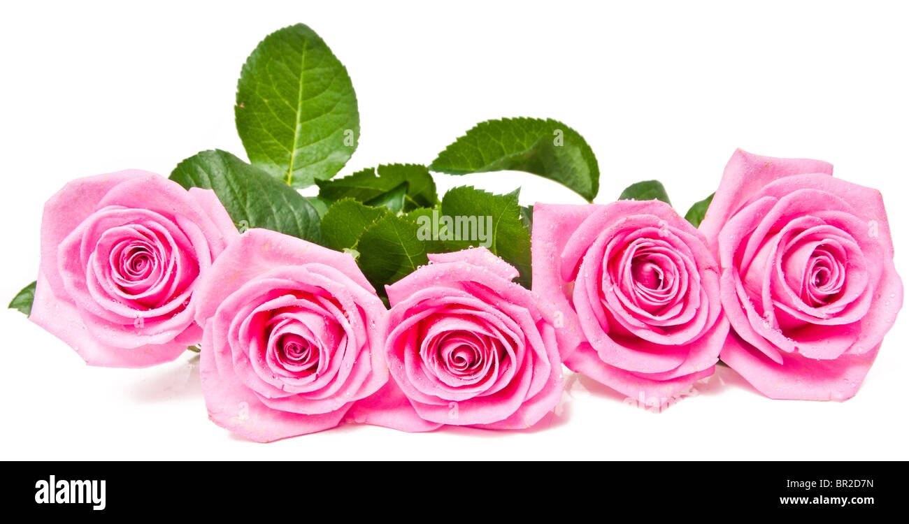 Bouquet de belles roses roses Banque D'Images