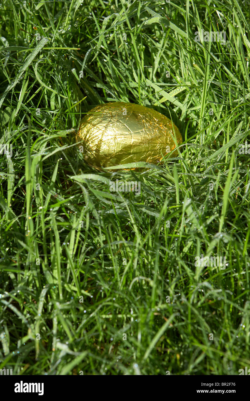 Enveloppé d'aluminium œuf de Pâques cachés dans l'herbe couverte de rosée humide partie d'une chasse aux oeufs de pâques Banque D'Images