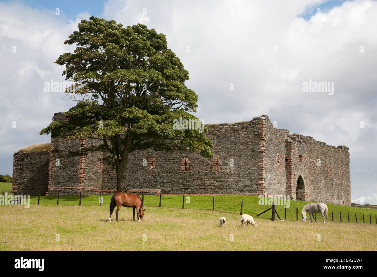 Château de Skipness à Kintyre, Ecosse Banque D'Images