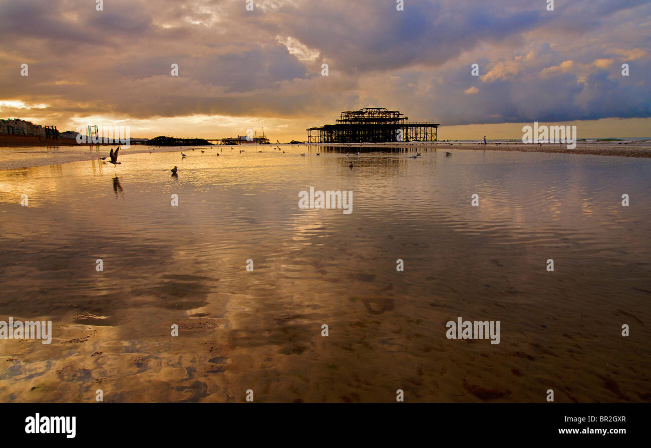 Hove beach et la vue vers l'abandon de Brighton et le West Pier à marée basse, Brighton et Hove, East Sussex, Angleterre Banque D'Images