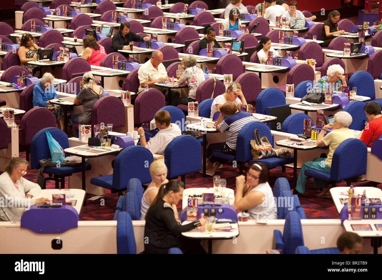 Mecca Bingo Bingo UK company. Les gens jouent au bingo à Catford salle de bingo, Londres, Royaume-Uni. Photo:Jeff Gilbert Banque D'Images
