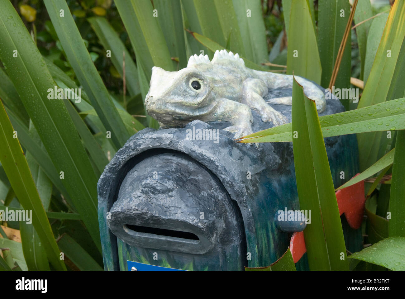 Mail box avec tuatara, Linkwater, Marlborough, île du Sud, Nouvelle-Zélande Banque D'Images