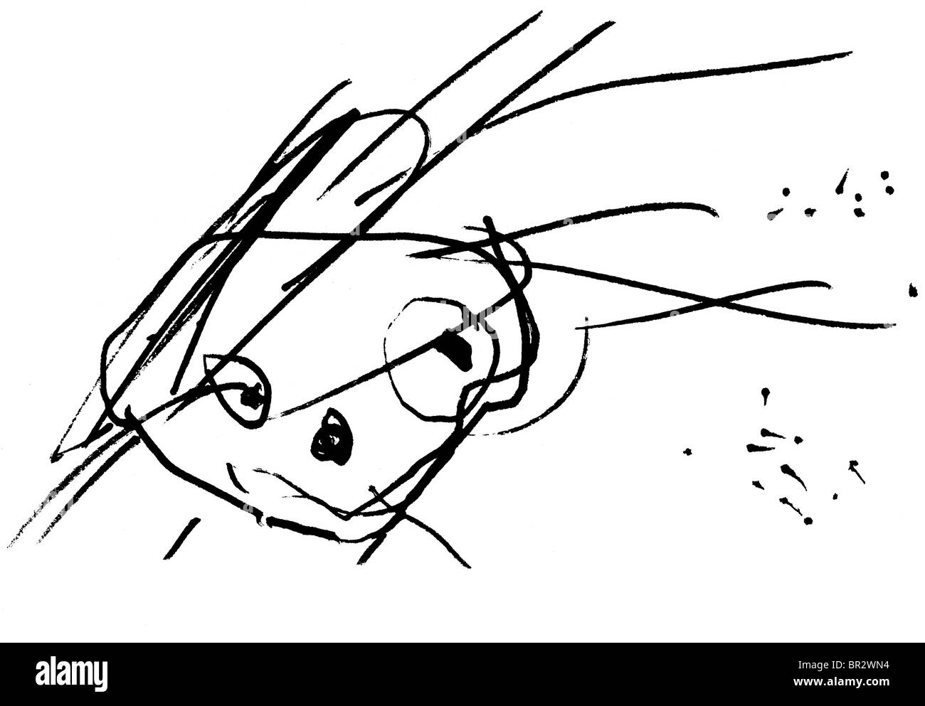 Un Dessin D Enfant En Noir Et Blanc D Un Visage Humain Avec Des Cheveux De Soufflage Photo Stock Alamy