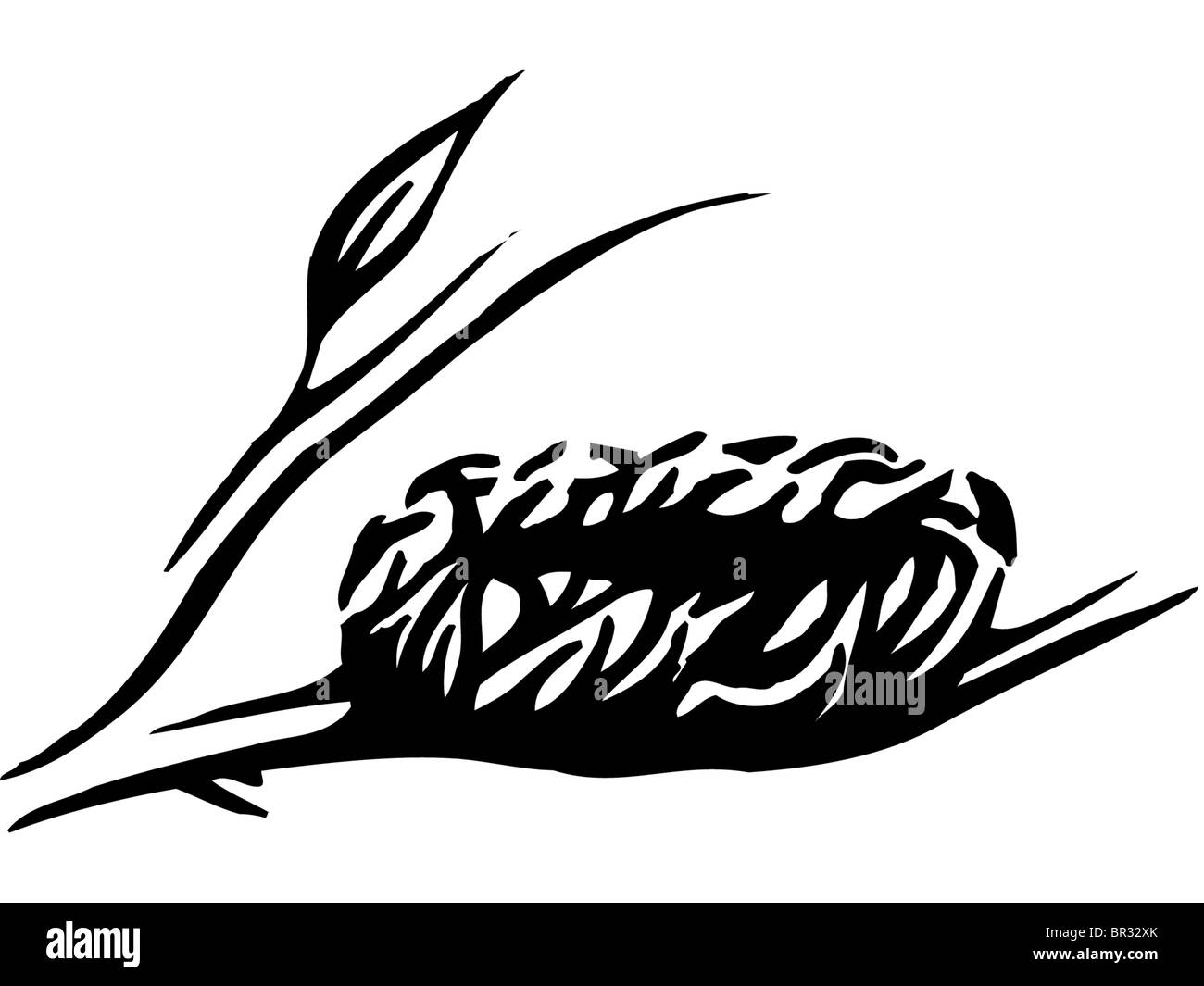 Un dessin en noir et blanc d'un nid vide sur une branche Banque D'Images