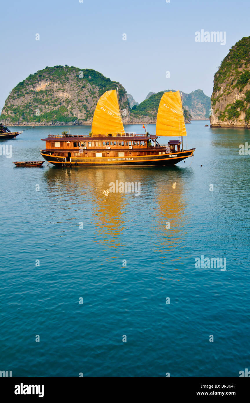 Voir des formations calcaires avec une ordure dans l'avant-plan dans la baie d'Halong, Vietnam Banque D'Images