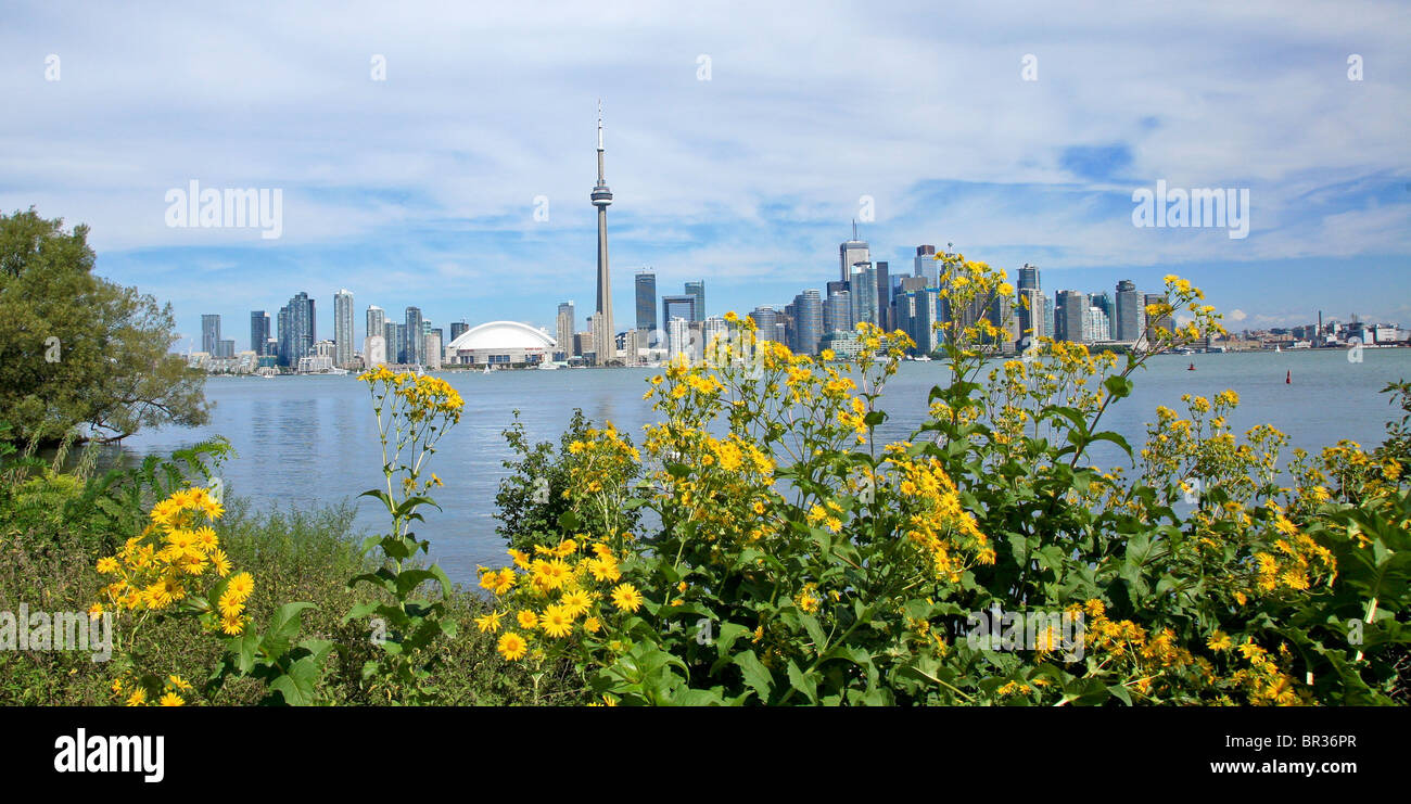 Toronto vu de l'île Centre, partie de Toronto Parks Ministère,Toronto;Ontario;Canada Banque D'Images